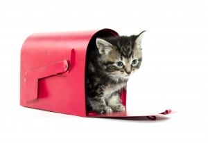 Story in the mail box