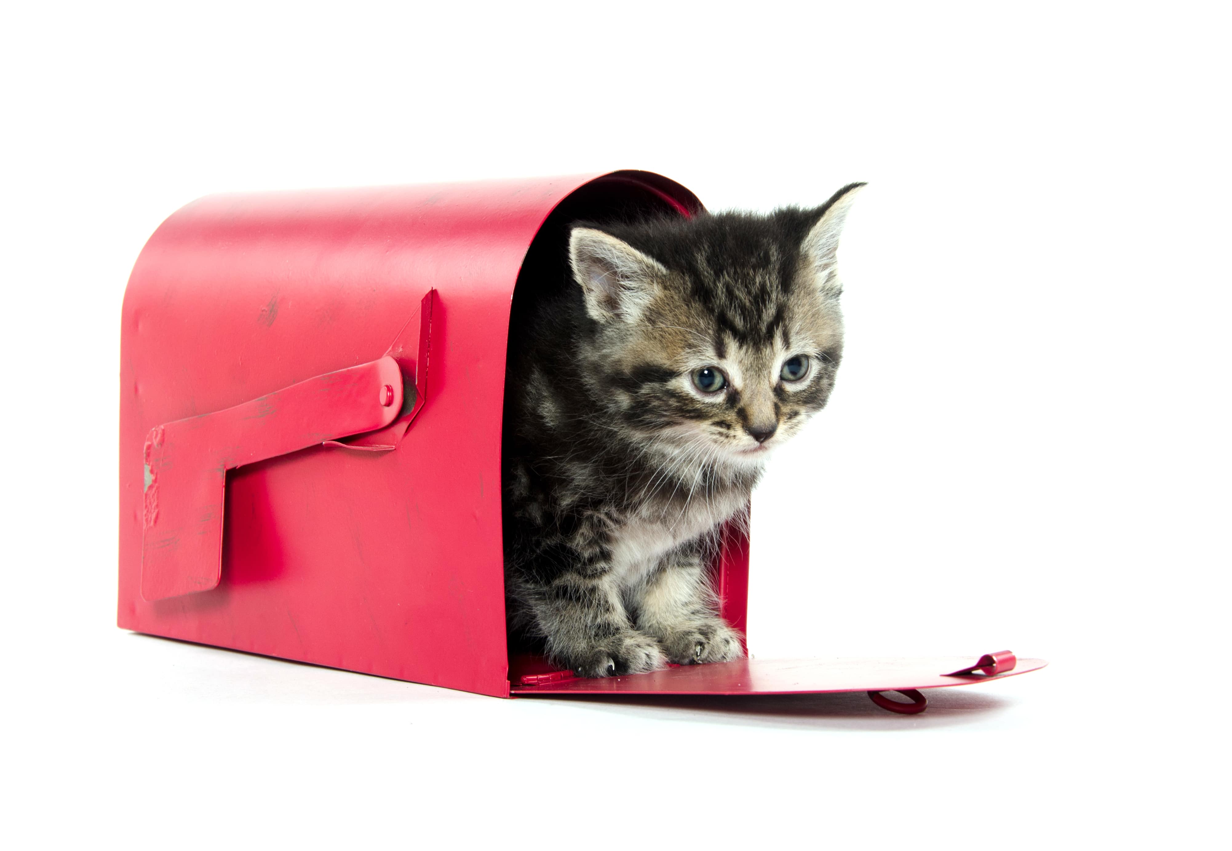 Story in the mail box