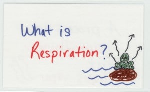 Use color coding and visuals on flash cards to make them more memorable
