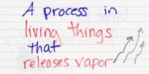 Use color coding and visuals on flash cards to make them more memorable