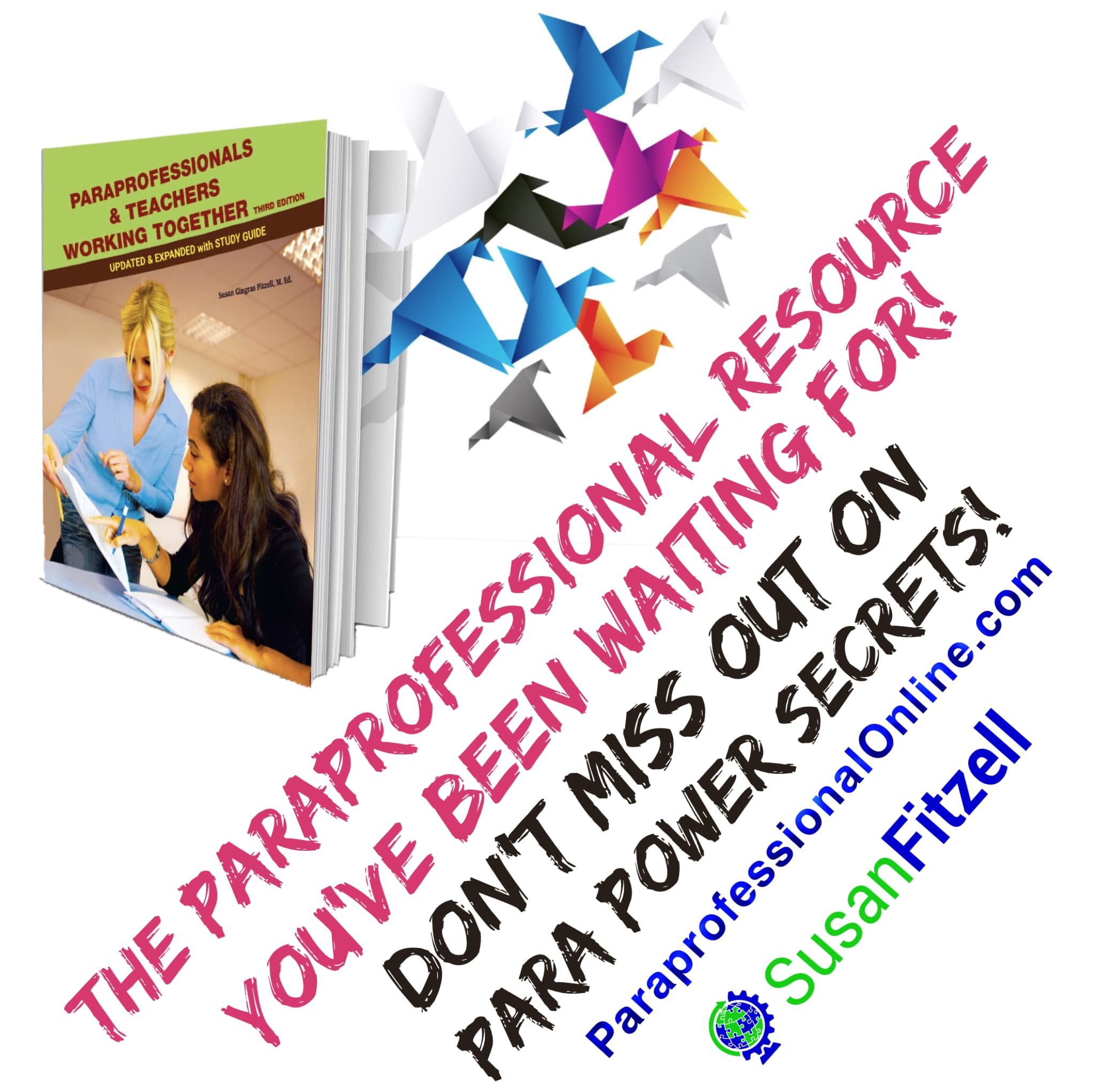 Paraprofessionals and Teachers Working Together