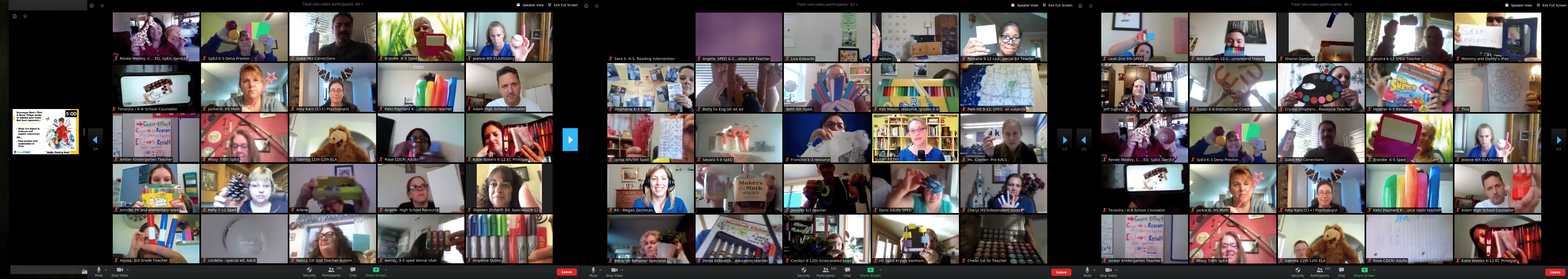 Screenshots from 2020-05-15 Struggling Learner Seminar Virtual Training by Susan Fitzell